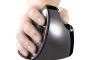 EVOLUENT Vertical Mouse D Large Wireless
