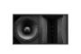 BOSE ArenaMatch AM20/100 Outdoor Loudspeaker